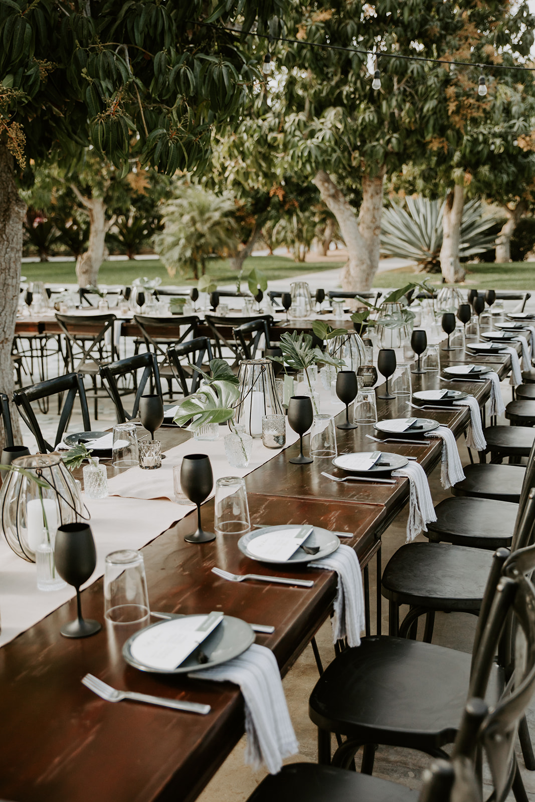Wedding at Acre Baja in Cabo San Lucas, Mexico